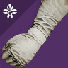 Veiled Tithes Gloves